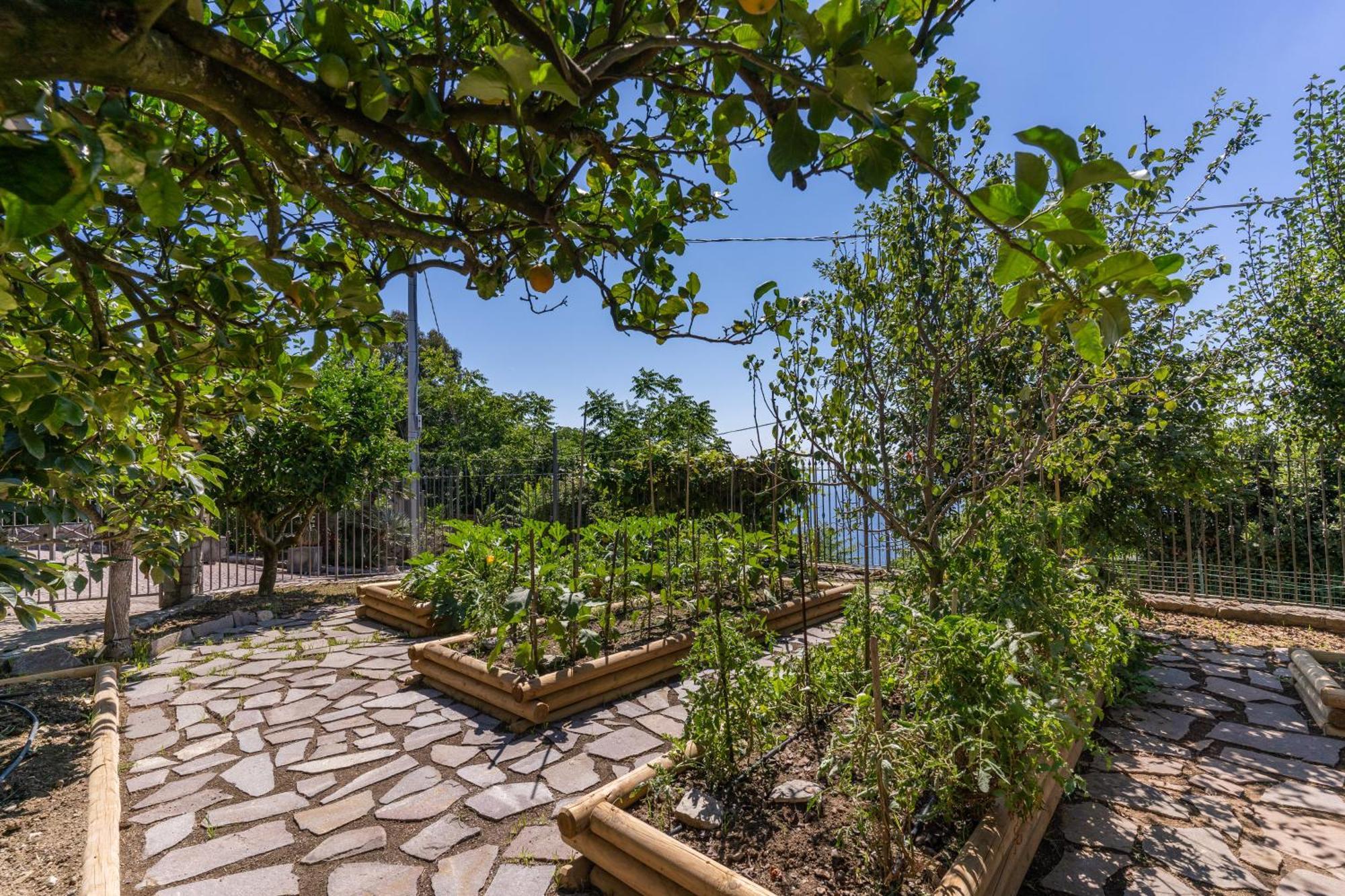 Villa Solatia Маса Лубрензе Екстериор снимка